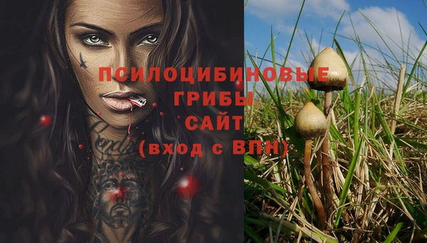 ешки Ельня