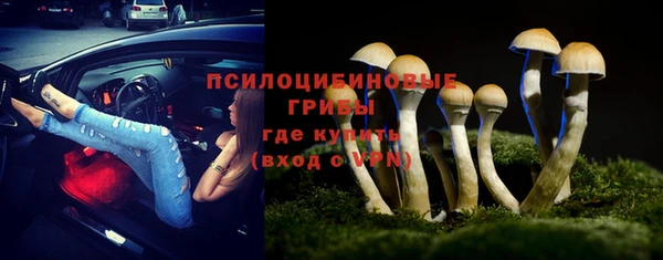 PSILOCYBIN Елизово
