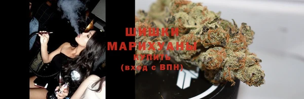 ешки Ельня