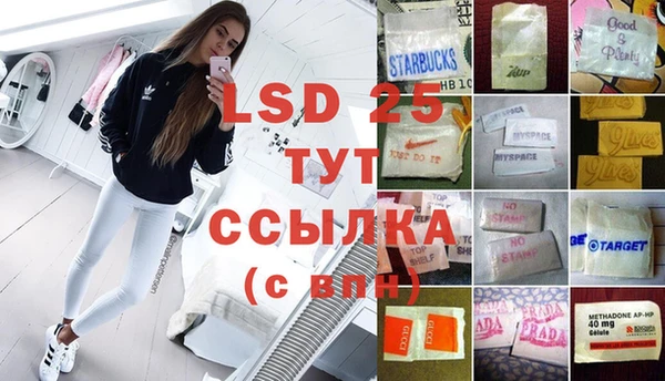PSILOCYBIN Елизово