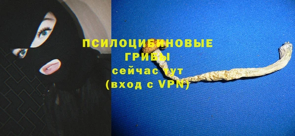 ешки Ельня