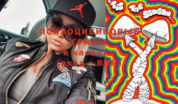 PSILOCYBIN Елизово