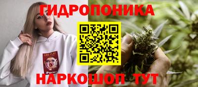 марки lsd Гусев