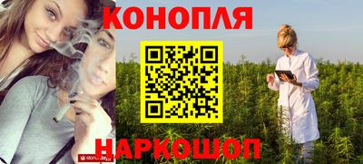 крисы Балаково